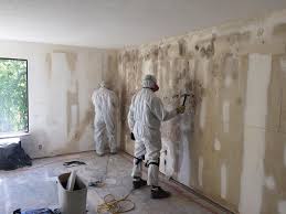 Best Basement Mold Removal  in Kalama, WA